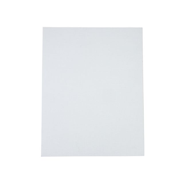 Colorations®11" X 14" Canvas Panels - Set of 6