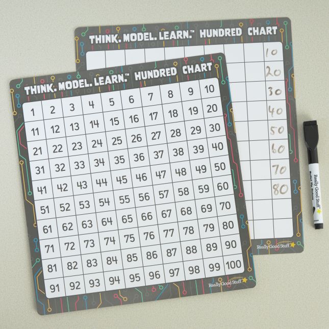 Think. Model. Learn.™ Hundred Chart - Set of 24