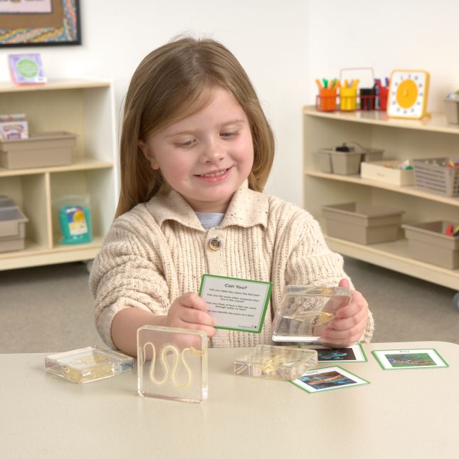 Excellerations® SpeciFun™ 4 Skeleton Specimen Tiles and Cards