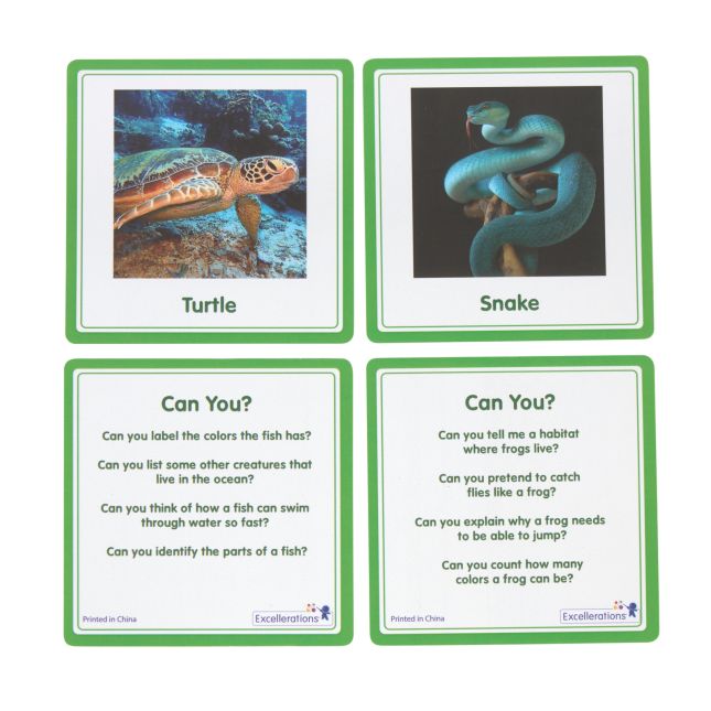 Excellerations® SpeciFun™ 4 Skeleton Specimen Tiles and Cards