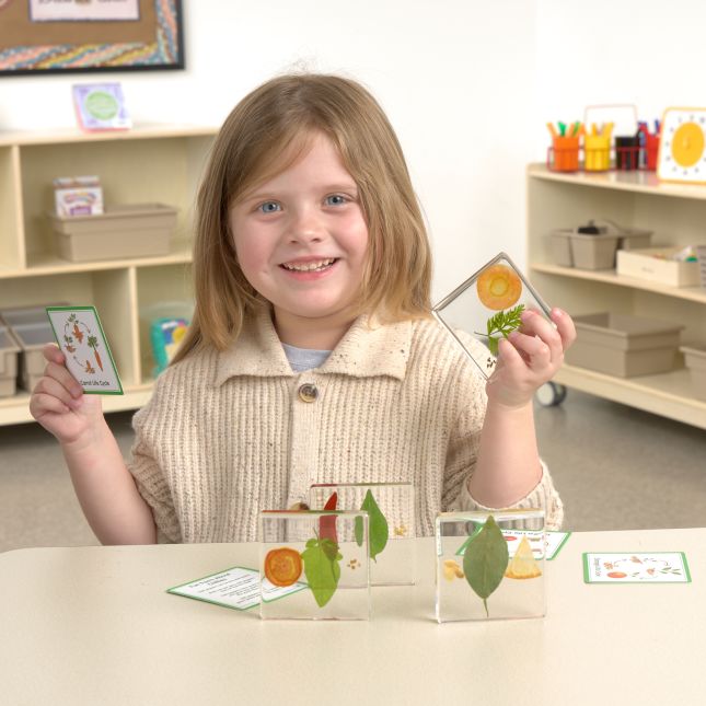 Excellerations® SpeciFun™ 4 Fruit + Vegetable Lifecycle Tiles and Cards