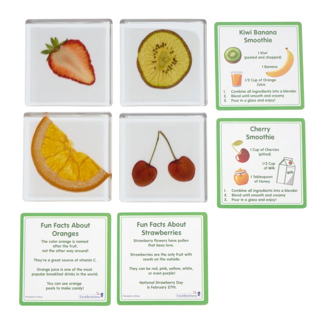 Excellerations® SpeciFun™ 4 Fruit Tile Specimens and Cards