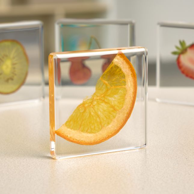 Excellerations® SpeciFun™ 4 Fruit Tile Specimens and Cards