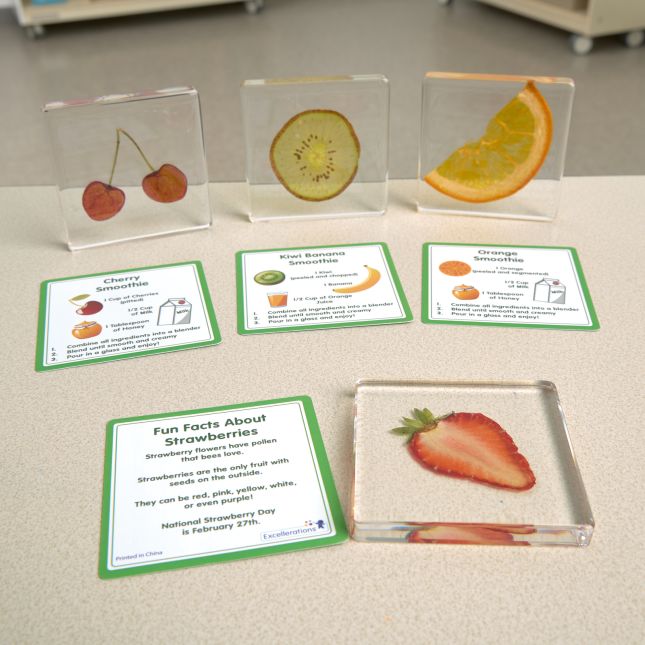 Excellerations® SpeciFun™ 4 Fruit Tile Specimens and Cards