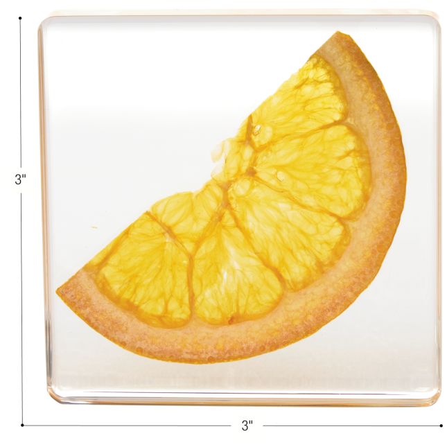 Excellerations® SpeciFun™ 4 Fruit Tile Specimens and Cards