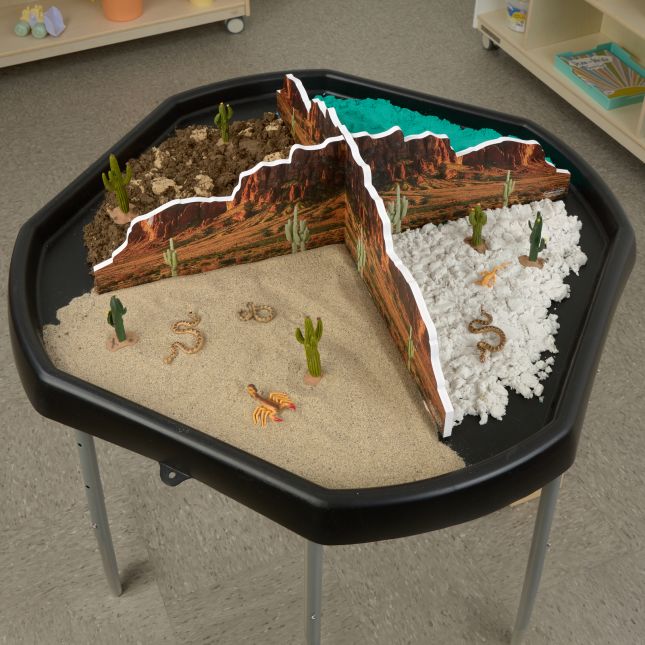 Excellerations® Scenery Station – Desert