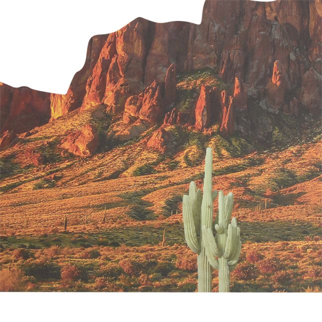 Excellerations® Scenery Station – Desert