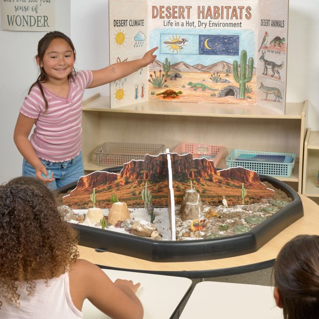 Excellerations® Scenery Station – Desert