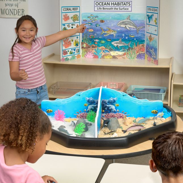 Excellerations® Scenery Station – Coral Reef