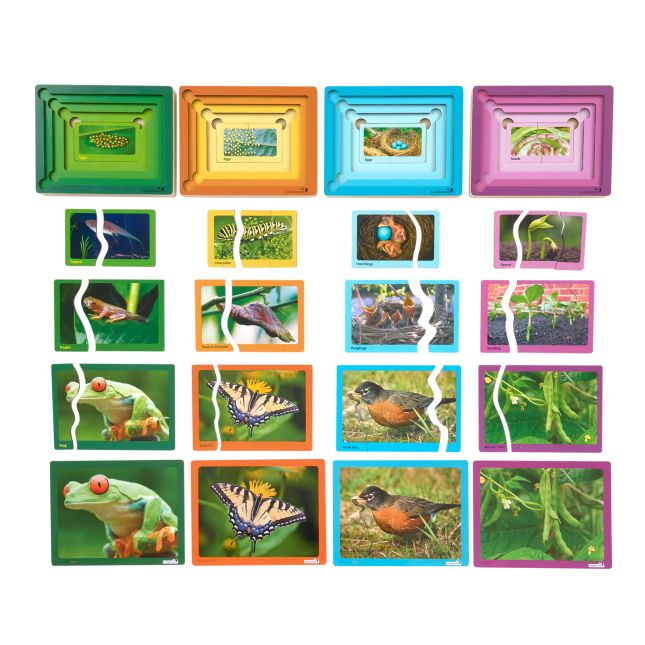 Excellerations® Layered Life Cycle Puzzles - Set of 4