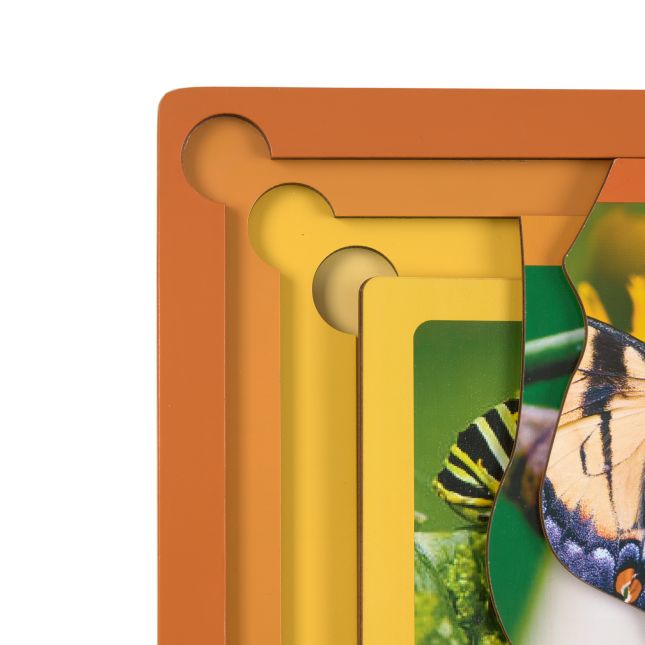 Excellerations® Layered Life Cycle Puzzles - Set of 4