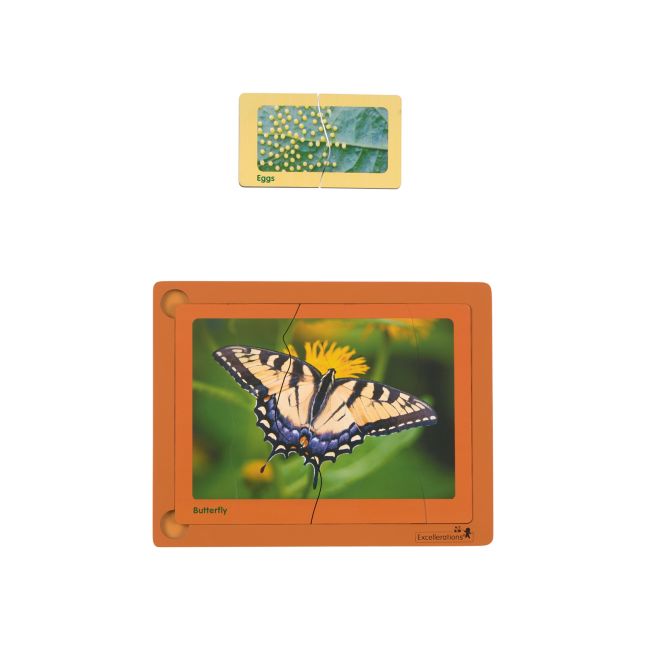 Excellerations® Layered Life Cycle Puzzles - Set of 4
