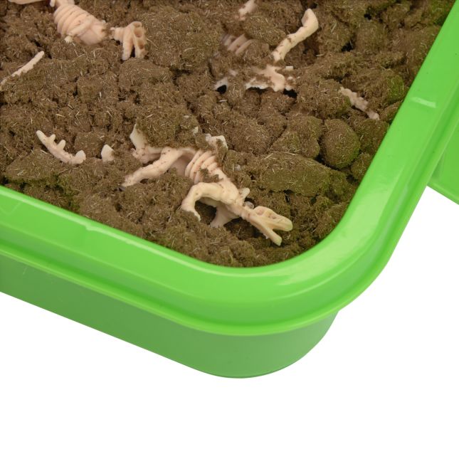 Excellerations® Wonder Dirt™ Dinosaur Excavation Kit