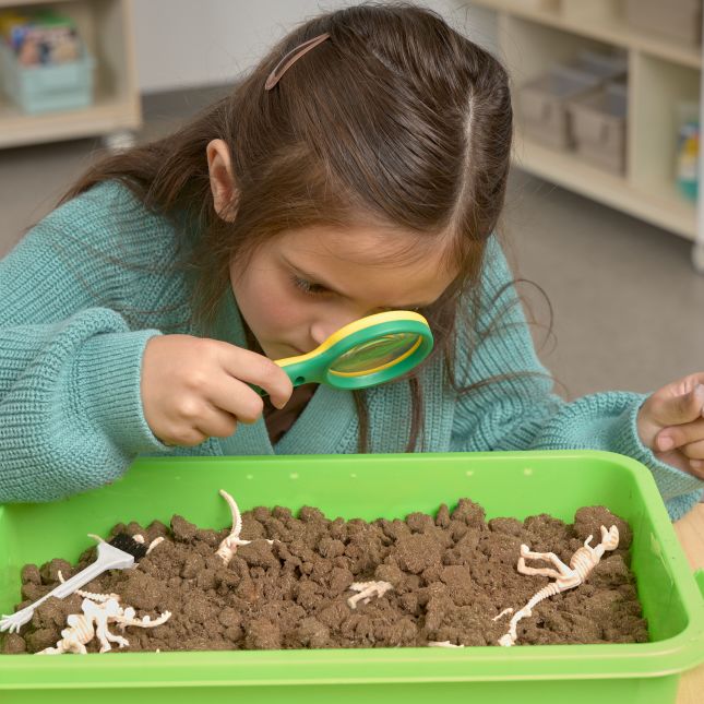Excellerations® Wonder Dirt™ Dinosaur Excavation Kit