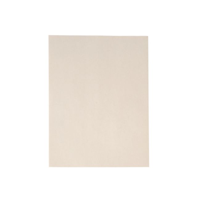Colorations® Specimen Press Paper – 200-Pack Blotting Sheets