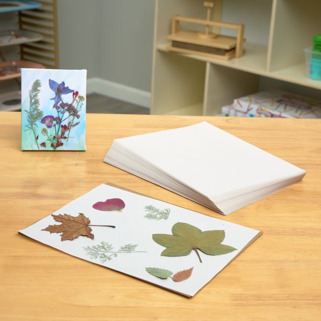 Colorations® Specimen Press Paper – 200-Pack Blotting Sheets