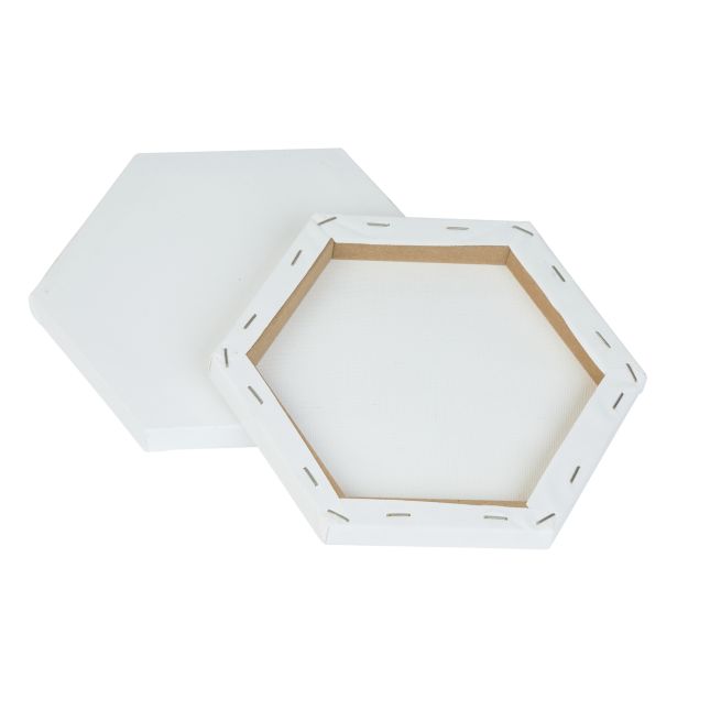 Colorations® 8" x 8" Hexagon Shaped Canvas - Set of 10