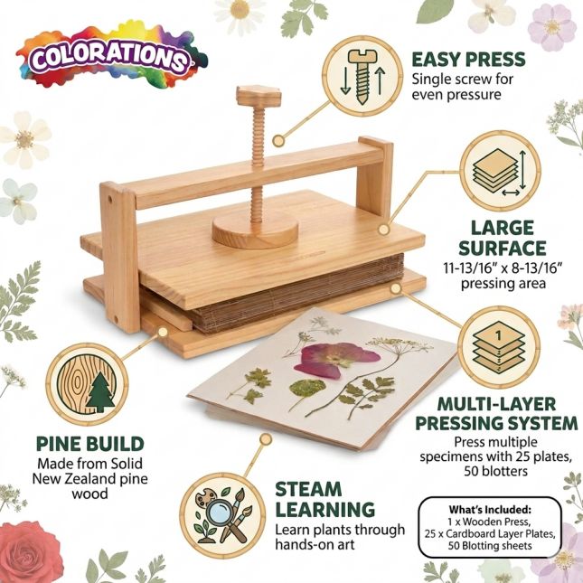 Colorations® Specimen Press Kit