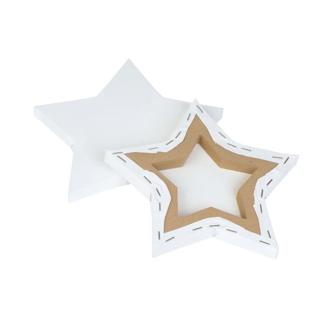Colorations® 8" x 8" Star Shaped Canvas - Set of 10