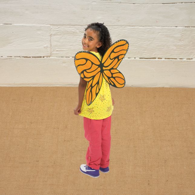 Colorations® Garden Fairy Wings – Makes 12 Craft