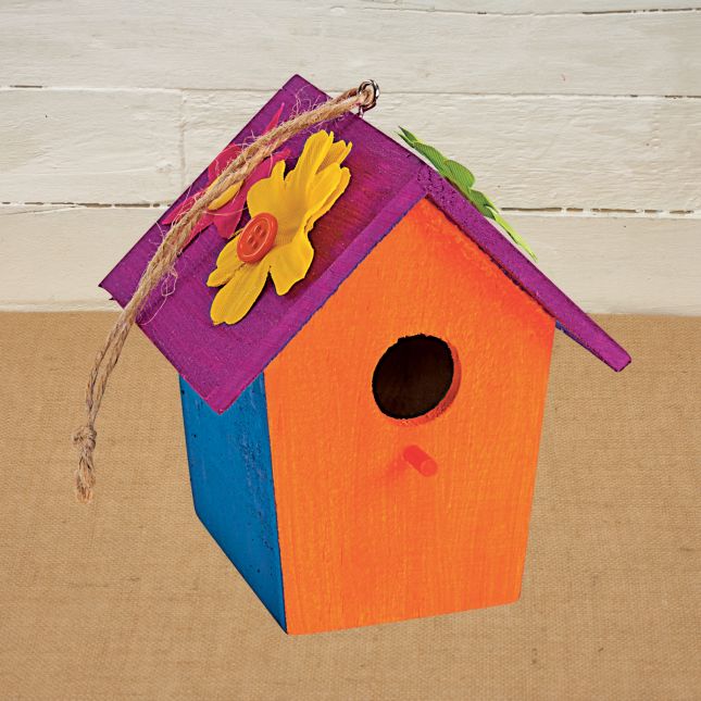 Colorations® Camp Create-A-Birdhouse – Makes 6 Crafts