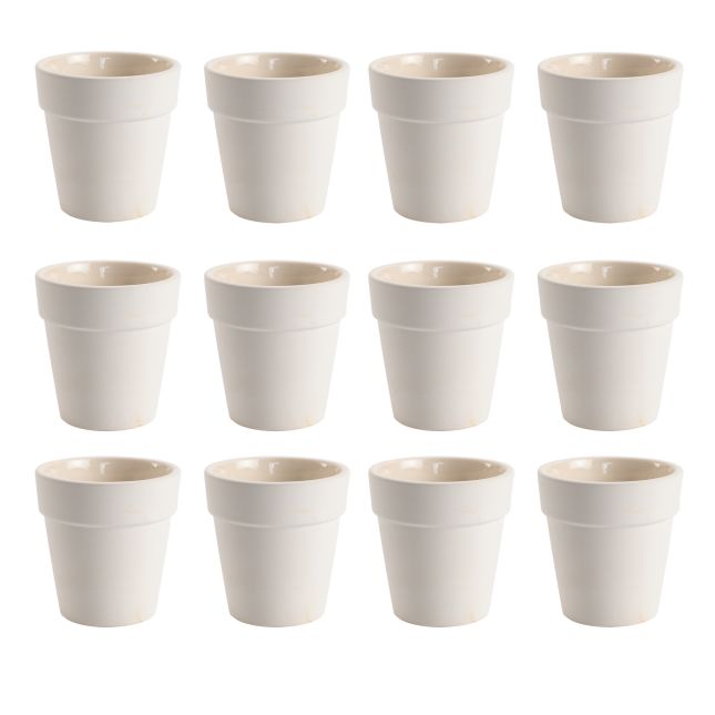 Colorations® Cinco de Mayo Fiesta Planter Pots – Makes 12 Crafts