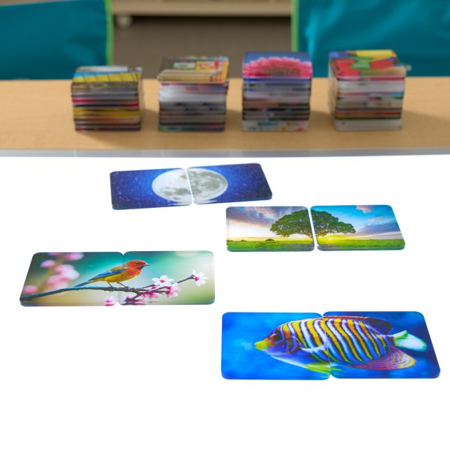 Excellerations® EduView™ Familiar Objects 3"Acrylic Picture Tiles - Set of 52