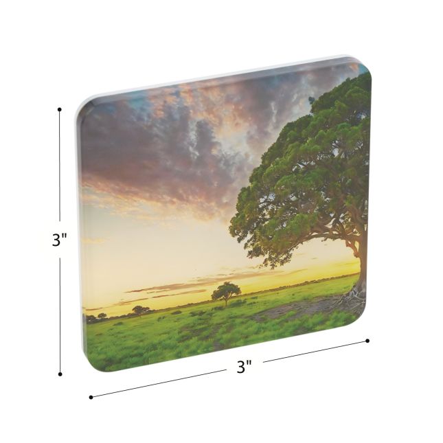 Excellerations® EduView™ Familiar Objects, Alphabet, and Number Acrylic Picture Tiles - Set of 154
