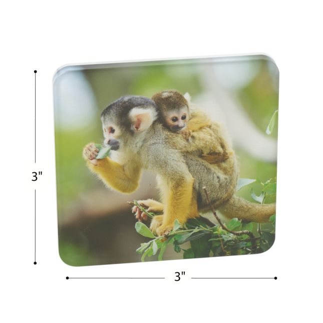 Excellerations® EduView™ Familiar Objects, Alphabet, and Number Acrylic Picture Tiles - Set of 154