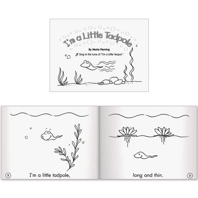 Little Leveled Readers Book Set - Set D