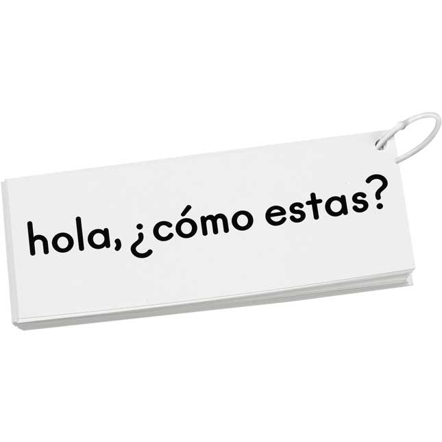 EZread™ Spanish High Frequency Word Phrase Flash Cards: Emergent