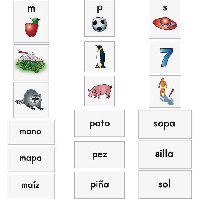 Essential Spanish Word Sorts™ Book and Demonstration Cards Set