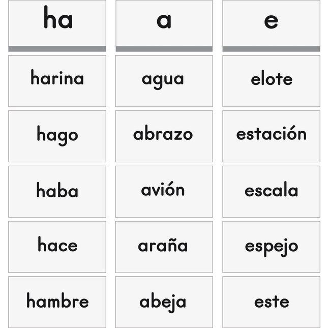 Essential Spanish Word Sorts™ Book and Demonstration Cards Set