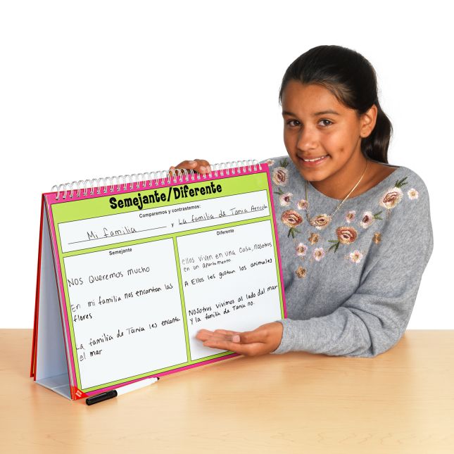 Spanish Reading Comprehension Flip Chart - 1 chart