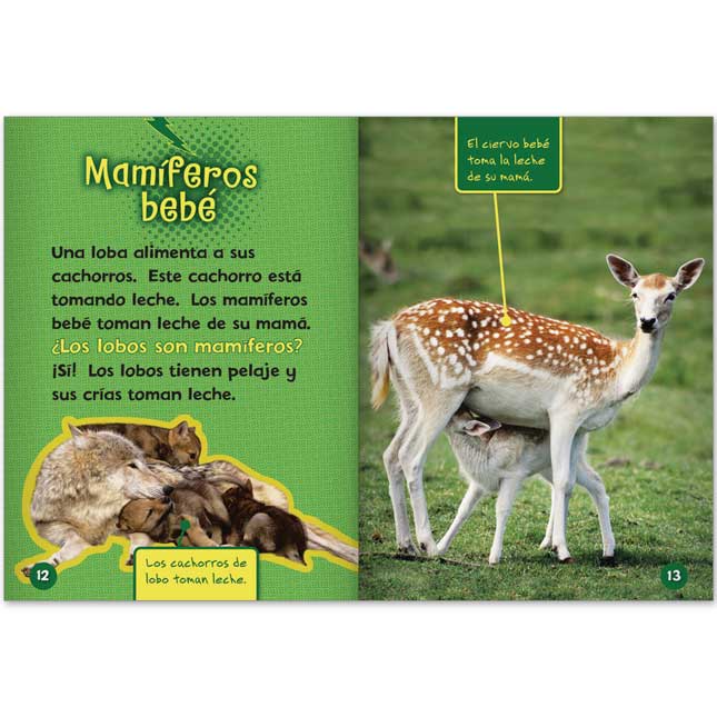 Libros Rayo Conoce Los Grupos De Animales Book Set