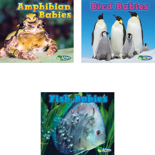 Animal Babies 6-Book Set