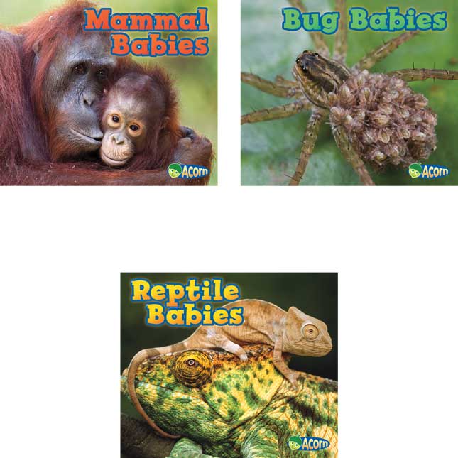 Animal Babies 6-Book Set