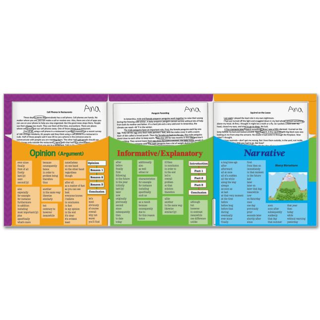 Intermediate Writing Text Types Trifold 3-Pocket Folders