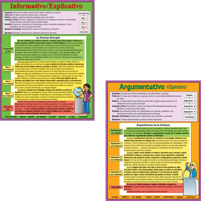 Spanish Intermediate Writing Text Types 4-Poster Set