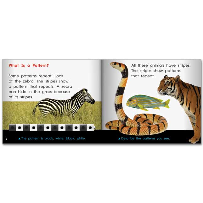 Rising Readers Math Volume 2 - 12-Book Set