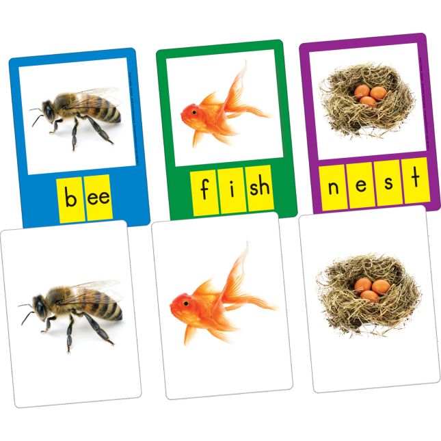 Small-Group Phoneme Photo Cards - 40 cards_0