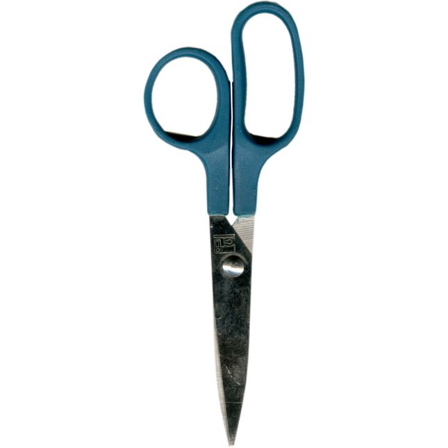 Dough Scissors - Set of 12