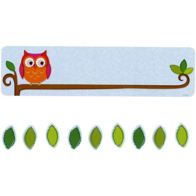 Colorful Owls Class Management Bulletin Board Set