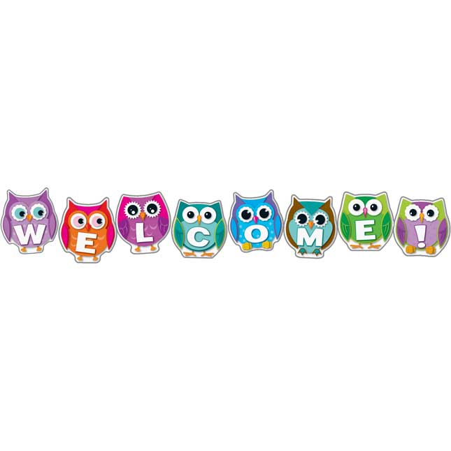 Colorful Owl Welcome Bulletin Board Set