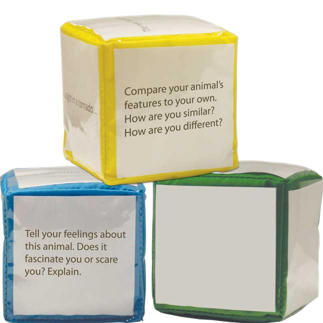 Differentiated Instruction Cubes - 3 cubes