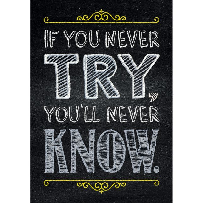 Inspire U Posters - If You Never Try... - 1 poster