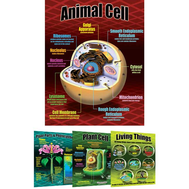 Life Science Poster Set