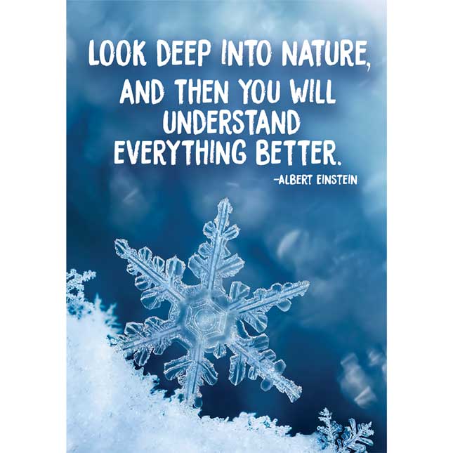 Look Deep Into Nature 13" X 19" Poster