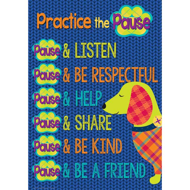 Plaid Attitude Practice The Pause Poster 13" X 19"