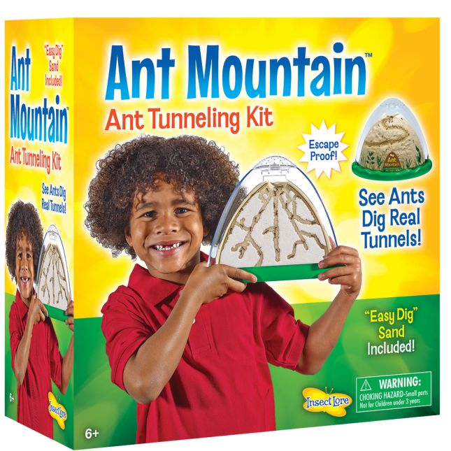 Ant Mountain - 1 multi-item kit